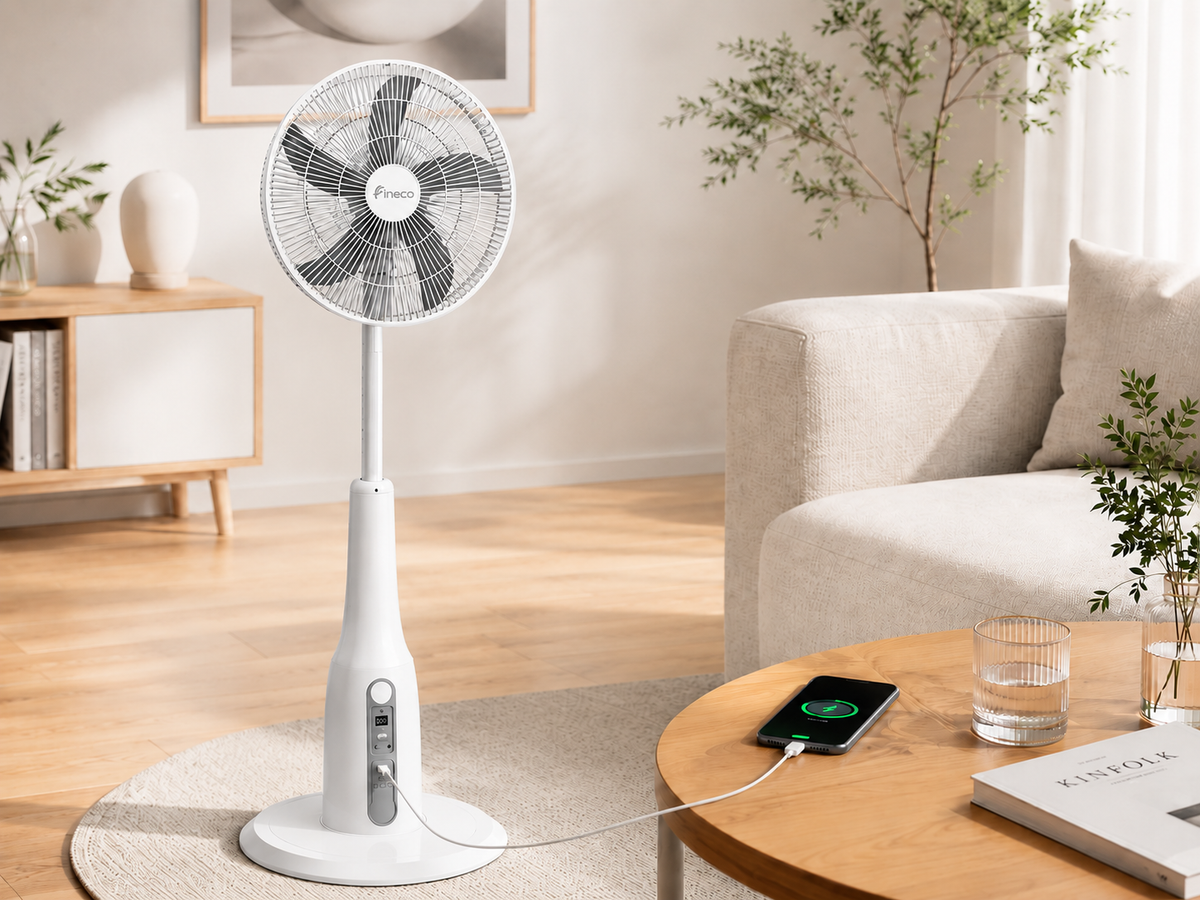 Rechargeable Fans
