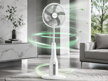 Rechargeable Fans