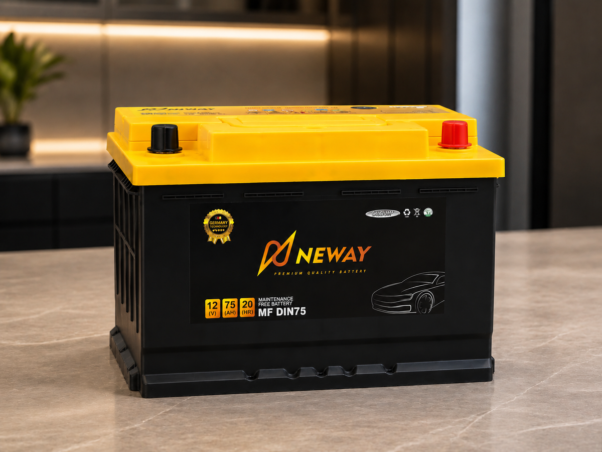 Neway automotive starter battery product view