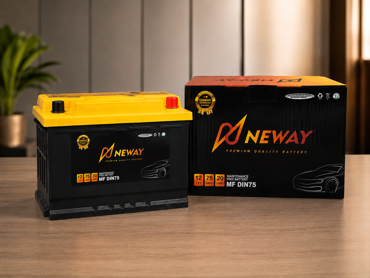 Neway automotive starter battery product view