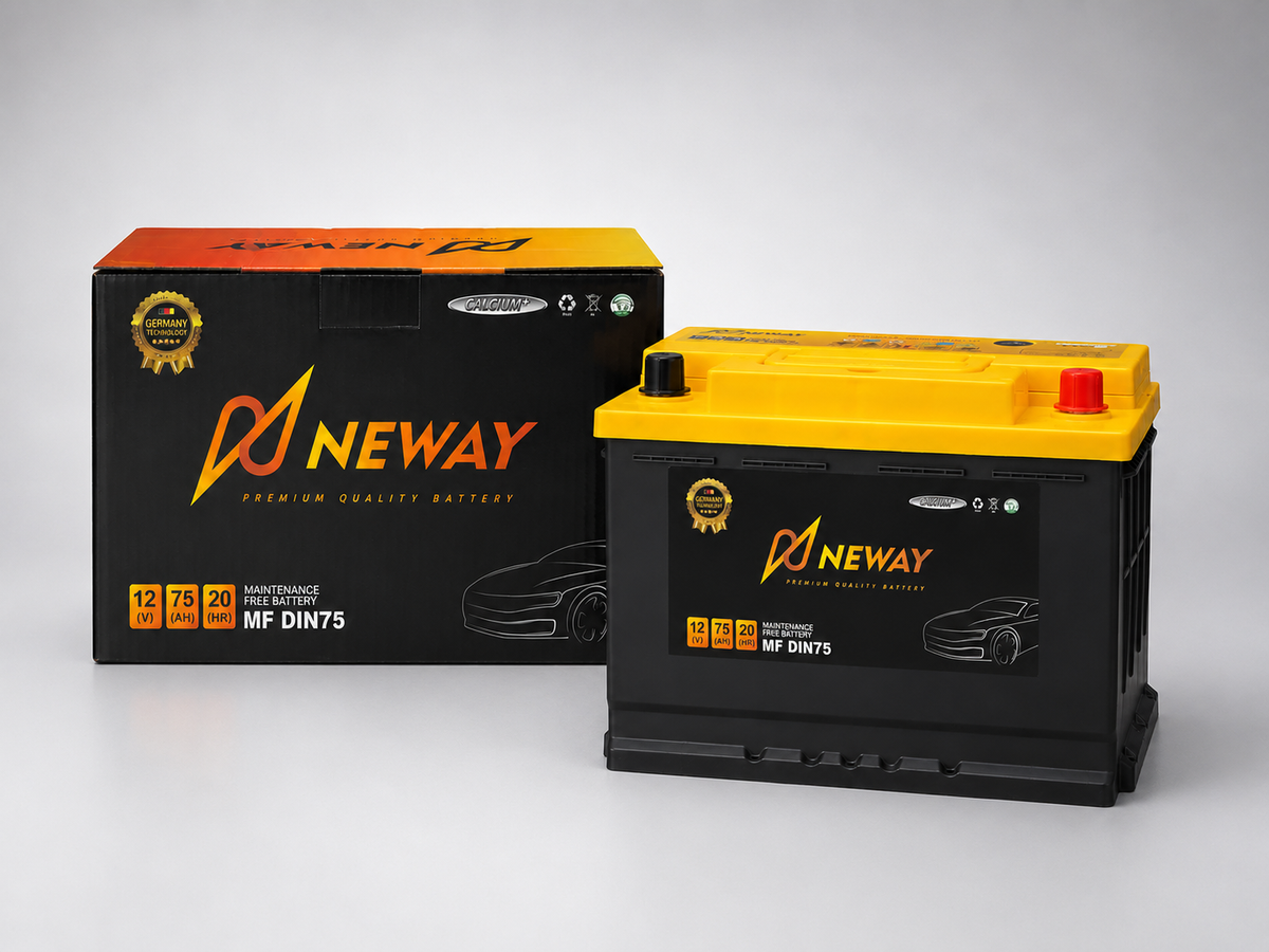 Neway automotive starter battery product view
