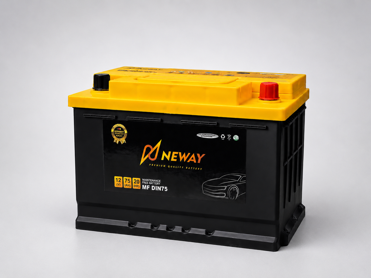 Neway automotive starter battery product view