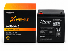 Neway automotive starter battery product view