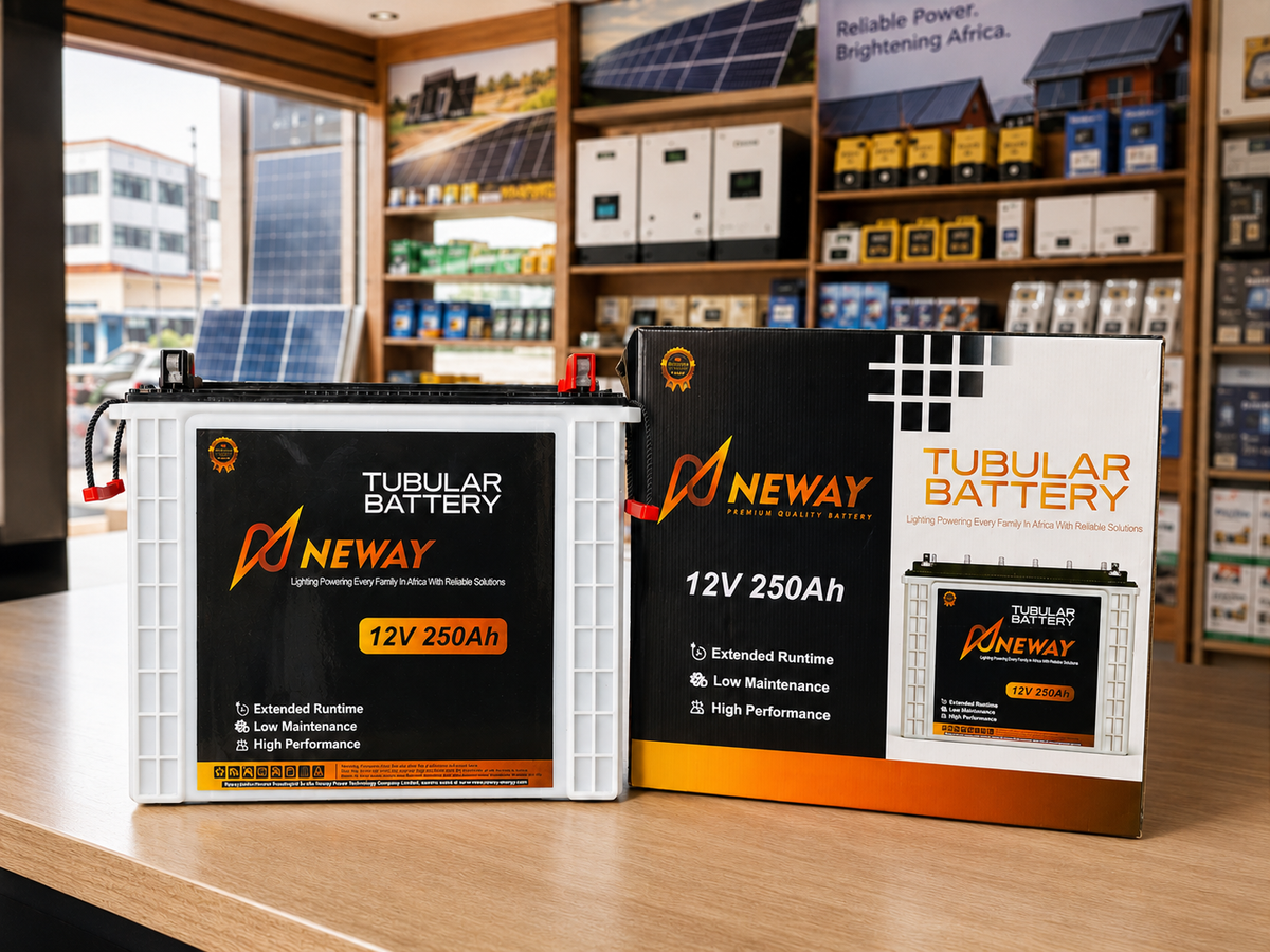 Neway automotive starter battery product view
