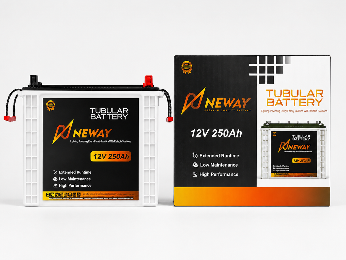 Neway automotive starter battery product view
